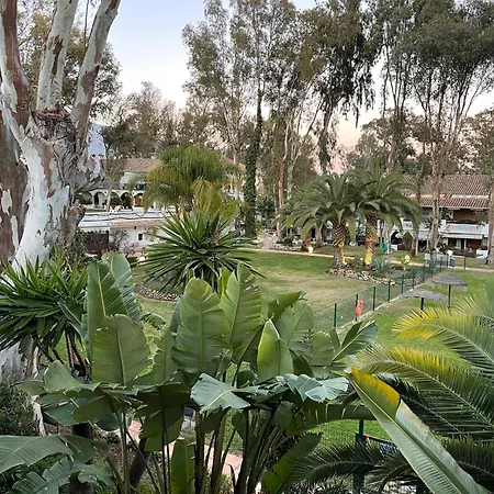 Puerto Banus Pol Y Hada